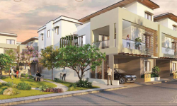 In Focus: Chirping Grove By Shriram