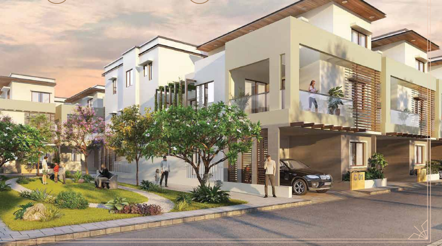 In Focus: Chirping Grove By Shriram