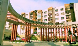 In Focus: Song of South By Prestige