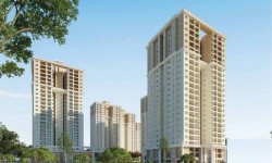 In Focus: Waterford By Prestige Group